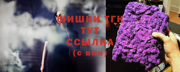 2c-b Горнозаводск